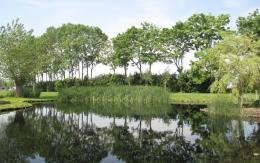 Tuin in de Uitkerkse polder